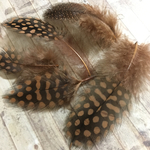 ホロホロ鳥 羽根 ブラウン 10枚セット 3-5cm 金具付き