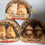 後向きのシーズー、パグ犬、ポメラニアン🐶のポーチ❣️