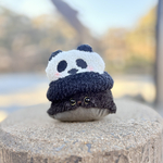 パンダ帽子の黒猫くぅたん🐼🐈‍⬛