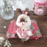 🍓うっとり苺ジャムポットうさぎ🍓tenori  teddy  rabbit 
