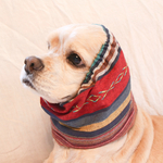 中型犬用　スヌード　朝焼け