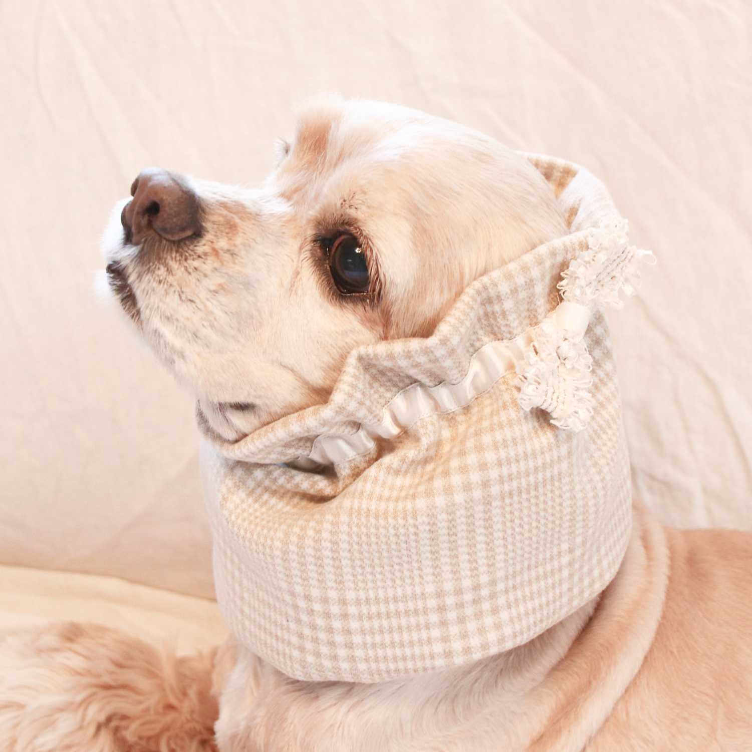 再々販！】犬用 シュシュ タータンチェック 赤 - ハンドメイドショップ