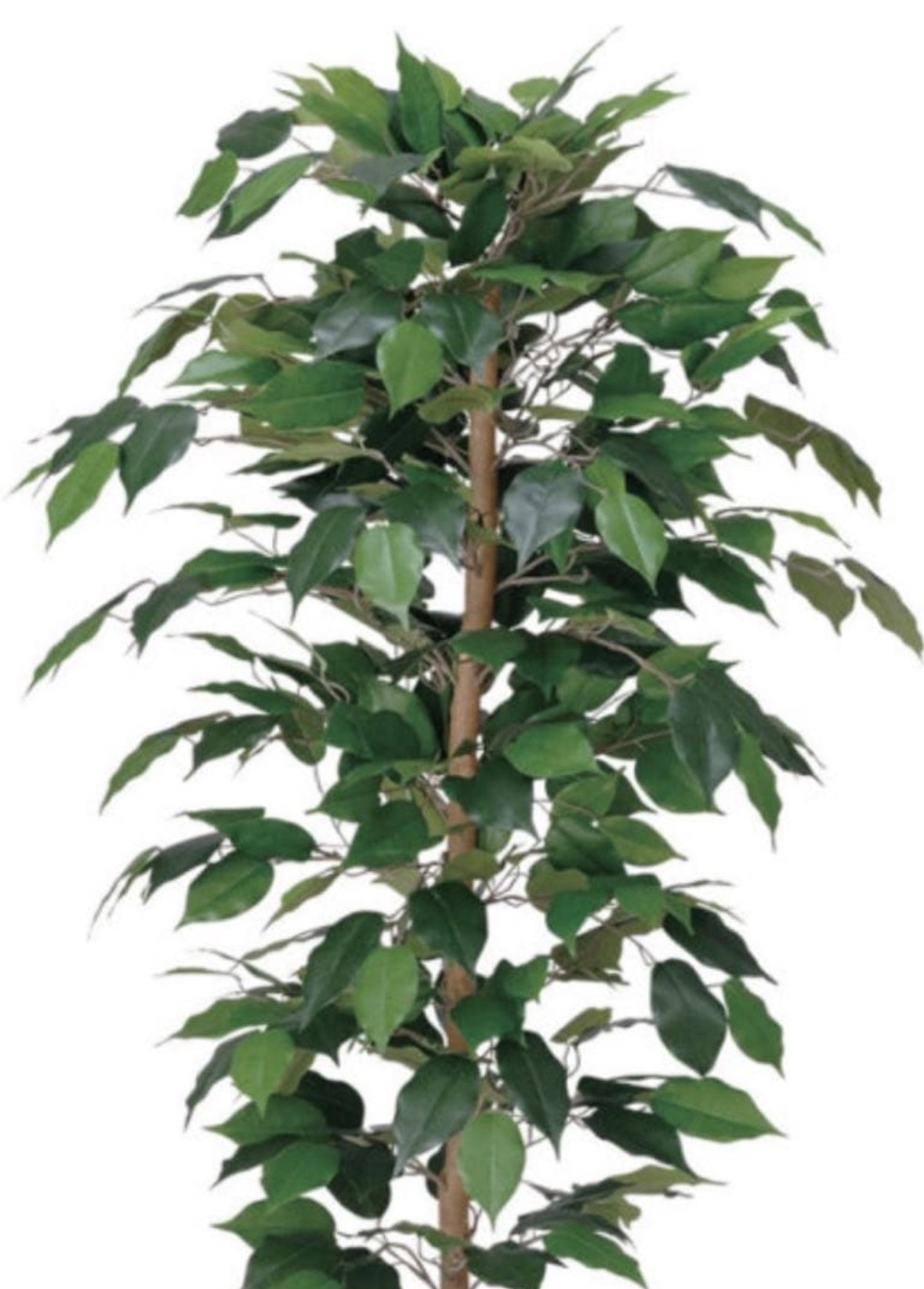 光触媒 人工観葉植物 ウォールグリーン フェイクグリーン フィカス
