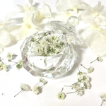 ＊Bridal Veil ＊
