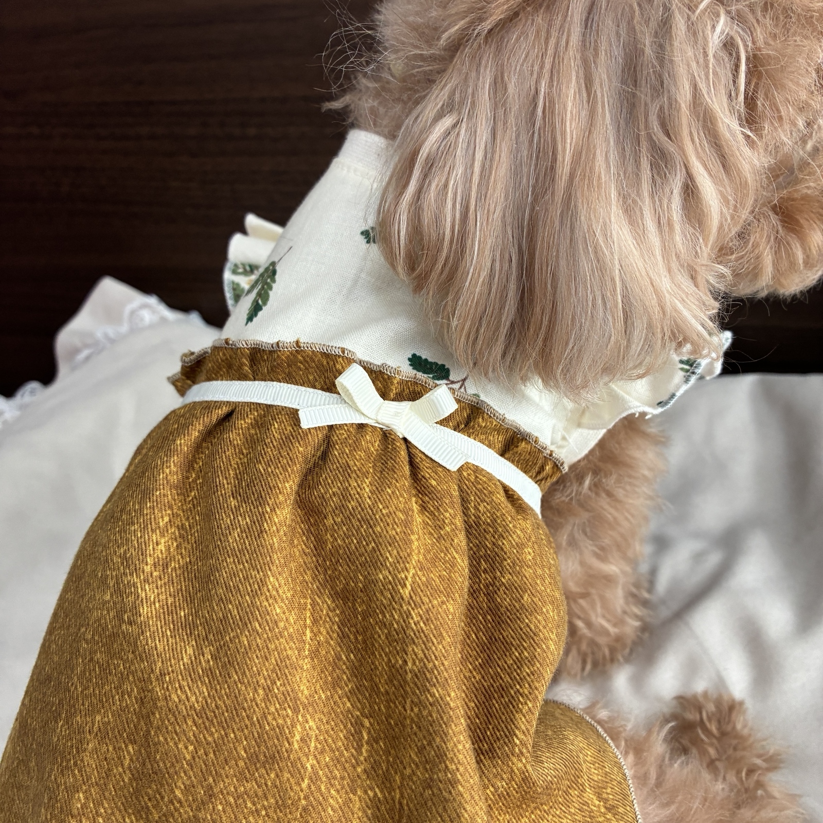 犬服 ❁ミモザ花🌼ワンピース❁ - 犬服♡CHERIE-ANGE3'S GALLERY