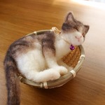 かご猫　くろみつ　⑬ ★ご予約品