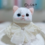 猫ちゃん、わんちゃん用ケープ ☘️はるかぜケープ☘️