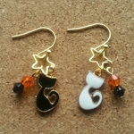 ハロウィン🎃👻黒と白のネコピアス😸