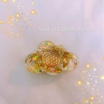 Seed of Light Orgonite〜光の種〜