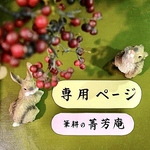 satomi0617様  専用ページです（他の方はご購入できませんのでご注意下さい）