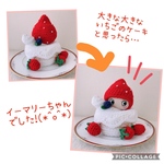 ⭐️イーマリーちゃん　イチゴケーキなりきりセット
