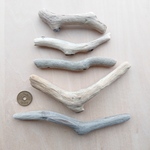 流木  約14.5cm～約23cm 12本セット 210889