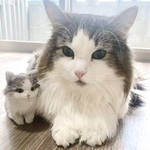 受注生産★世界に一匹だけの猫ちゃん★愛猫の写真でオーダーメイド★ニトリッド（モール）★肉球チャーム★キーホルダー・アクセサリー・母の日・父の日・ペット雑貨・誕生日プレゼント