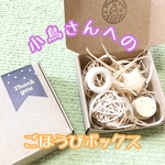 ごほうびボックス♪フォージングにも★インコ★文鳥★小鳥★おもちゃ★バードトイ★ハンドメイド★アスレチック★バードジム