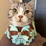 猫服ケープ　バレンタイン　チョコミント