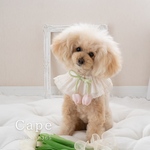 チューリップ付きフリルケープ｜犬 猫 ペット用｜記念日・撮影用アクセサリー、春、夏