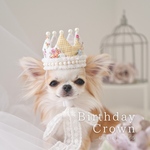 お花畑パッチワークのバースデークラウン 《記念日、誕生日、ペット用、猫、犬、王冠》