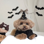 《ミニサイズ》 ハロウィンハット　月　星　黒　ブラック　ブラウン　ぬいぐるみ　犬　猫　うさぎ　