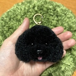 ＊うるうるトイプードル　毛糸キーホルダー＊黒　ブラック　ぬいぐるみマスコット　動物ポンポン　置き物　犬　オーダー　ペット　うちの子　舌出し