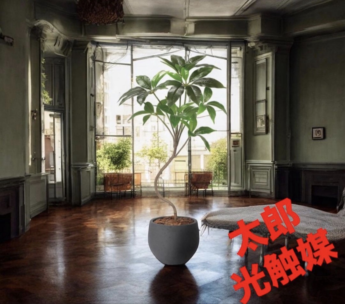 光触媒　人工観葉植物　ウォールグリーン　フェイクグリーン　ナチュラルツピタンサス1.0
