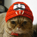ダルマ