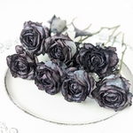 STバラ   アヴァランチェ　染めブラック　1本～　　　　/ドライフラワー　スタンダードバラ　薔薇　ローズ　染め　黒　ブラック　