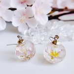 春を告げる桜のガラスドーム spring   ピアス/イヤリング    スワロフスキー 