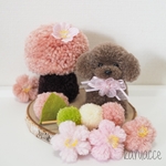 【受注製作】トイプードルと満開の桜のお花見セット