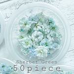 【大粒】かすみ草ドライフラワー✢シャーベットグリーン