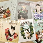 猫 2017年カレンダー