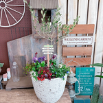 現品SALE♡7種類寄せ植え【オリーブの木】チェッカーベリー入り♡素敵なウッドピックつき！ホワイト系おしゃれ樹脂器