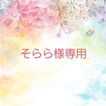 そらら様専用.*･ﾟ2026福袋
