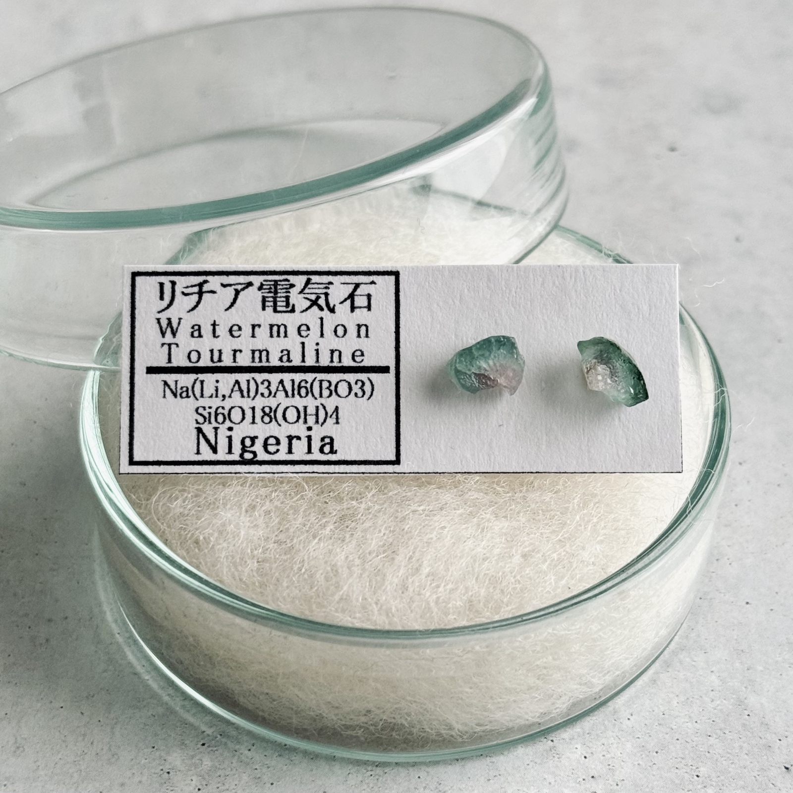 ✴︎No.1171-b✴︎希少✴︎ナイジェリア産 宝石質 ウォーターメロントルマリンの鉱物標本ピアス b