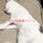 momo様専用ページです