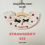 お名前入り♡ 『いちごスタイ🍓』　犬スタイ 犬ケープ 犬ビブ 犬服 