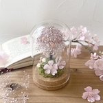 大人気！ 〈母の日おすすめ〉sakura＊春色ガラスドームアレンジ/ 母の日2025 / 桜 / 送別 / お花見  /メッセージタグ