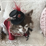 new🕺ゴシック♠️クロスハート❤️のミニハット