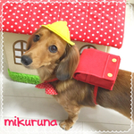 （旧）ワンちゃんの小学生セット