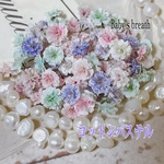 高品質❣️かすみ草ドライフラワー コットンパステル60粒～／レジン封入などに 小花アクセサリーガラスドームなどに