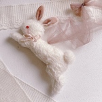 赤い目の白うさぎ🐇❤️ pupuBEAR🎀🎀