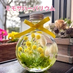 ミモザのハーバリウム　ネコ瓶Mサイズ