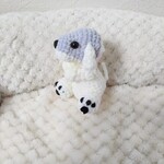 うちのこ🤍🤍あみぼ