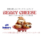 oh!my brownie 5個セット
