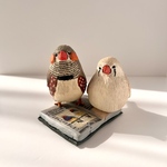 〚古い物語から飛び出した2羽のキンカチョウ〛