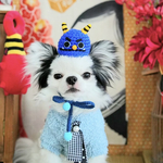 犬 節分 青鬼 帽子 ♡ 猫 ペット 犬 かぶりもの 被り物 犬帽子 ニット帽 なりきり 青 鬼