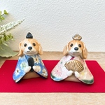 ビーグル犬のお雛様 2026