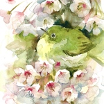 水彩画 原画 春メジロ