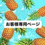 sn0wwhite77様専用ページ　別注パソコンバック　内寸450×330
