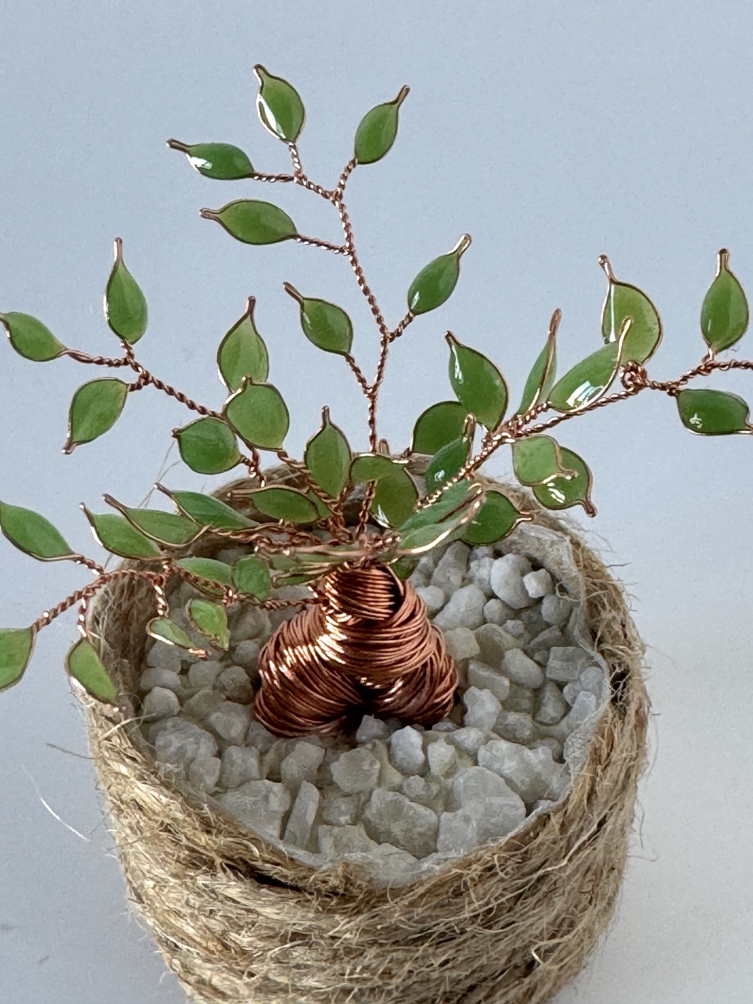 ガジュマル｜枯れない観葉植物｜ワイヤーレジンの小さな盆栽グリーン