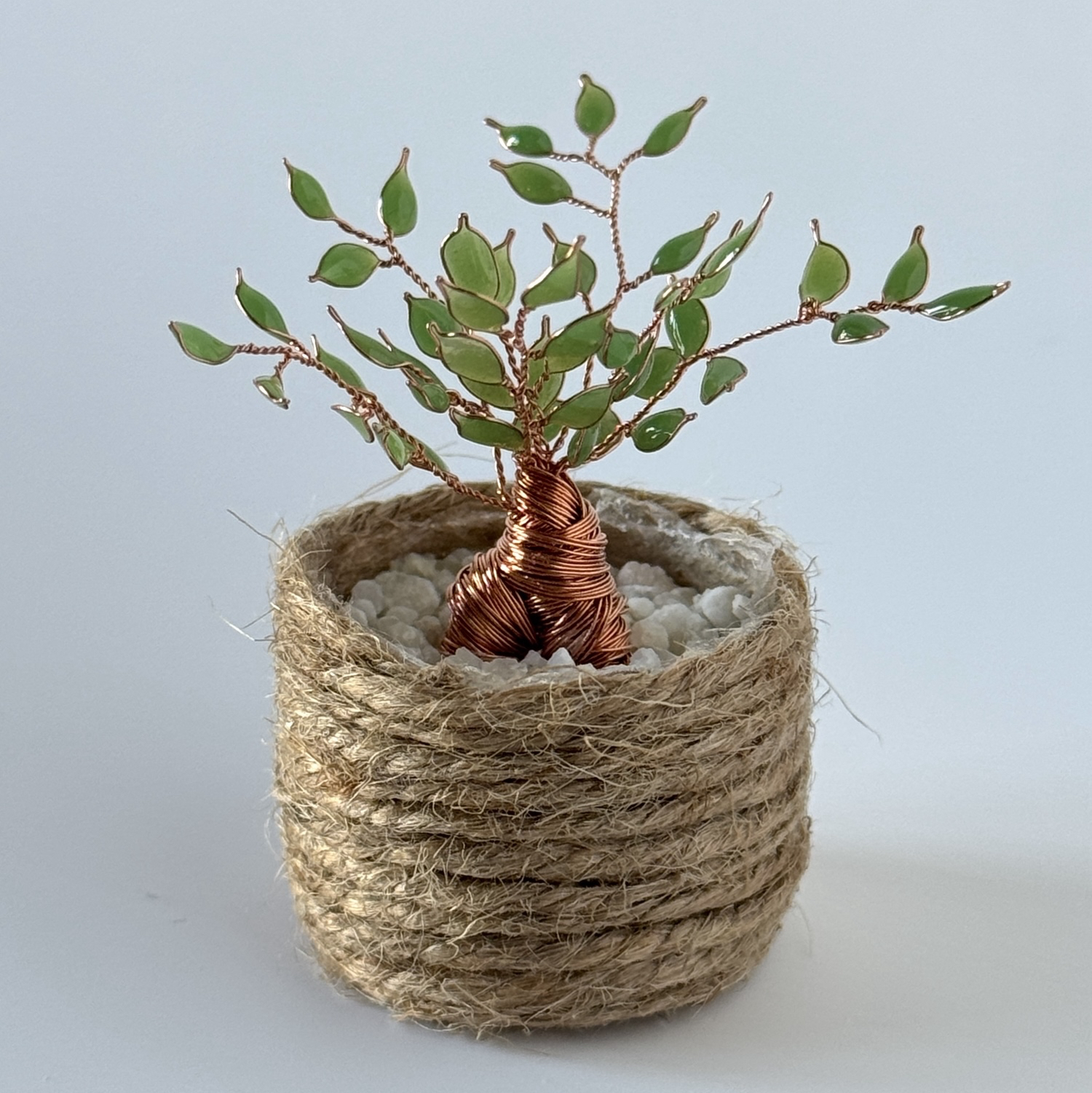 ガジュマル｜枯れない観葉植物｜ワイヤーレジンの小さな盆栽グリーン